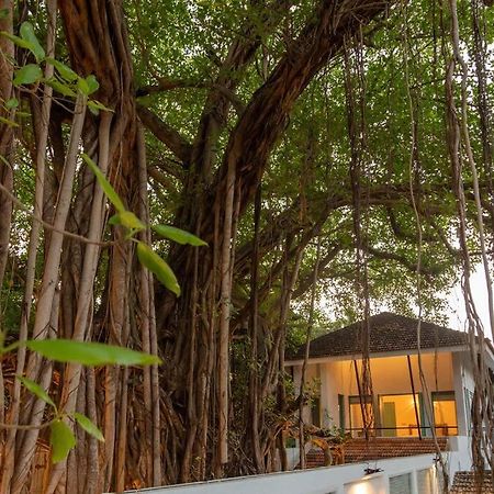 White Banyan Beach Villa, Candolim By The Acacia Villas Экстерьер фото