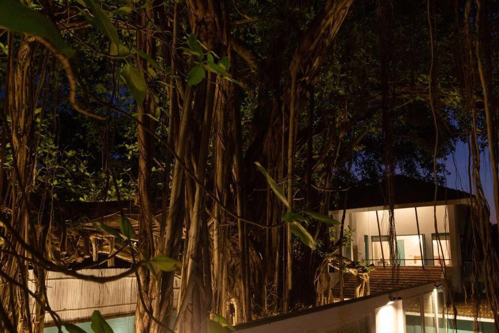 White Banyan Beach Villa, Candolim By The Acacia Villas Экстерьер фото